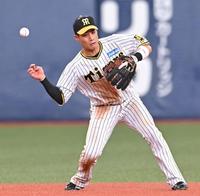 　６回、木下の打球をエラーする木浪（撮影・高部洋祐）