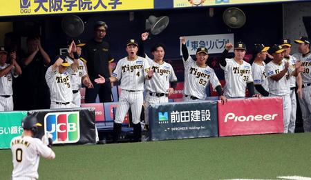 　５回、勝ち越しに沸く阪神ナイン（撮影・山口登）
