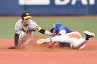 　４回、ノイジーの好返球でカリステを二塁でアウトにする中野（撮影・飯室逸平）