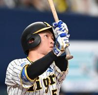 　６回、右越えにソロを放つ近本（撮影・飯室逸平）