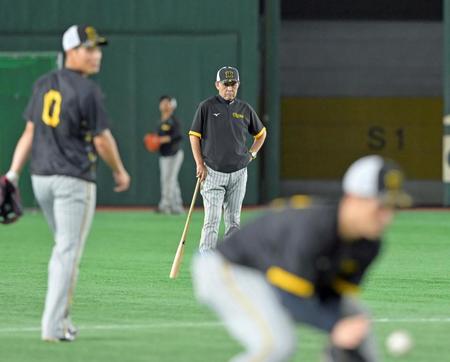 　練習を見守る岡田監督（撮影・立川洋一郎）