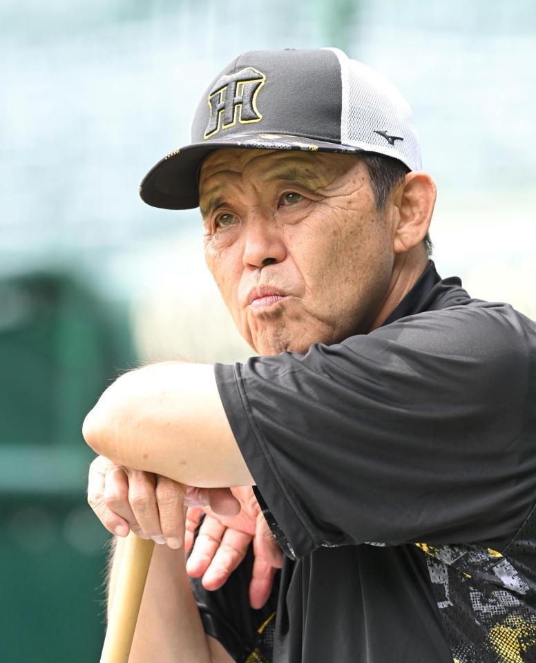 　ナインの練習を見守る岡田監督（撮影・高部洋祐）