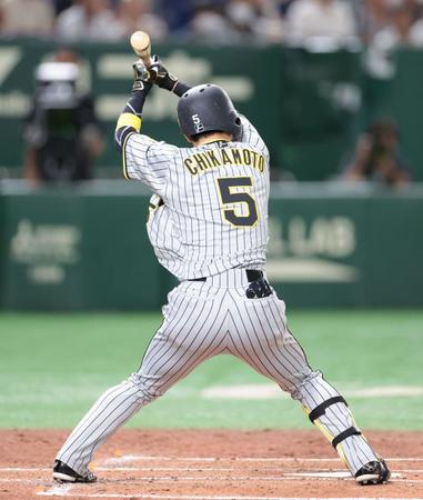 　３回、死球を受ける近本（撮影・吉澤敬太）