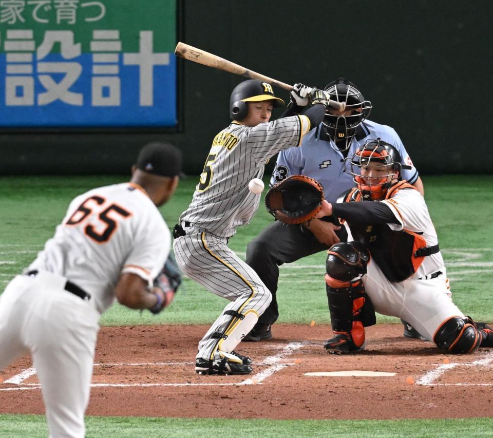 　３回、死球を受ける近本（撮影・金田祐二）