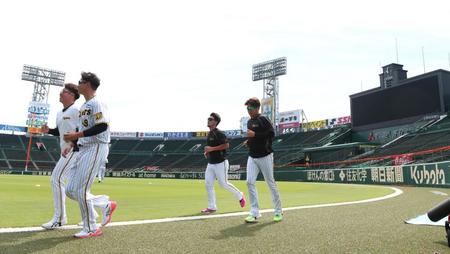 　ランニングをする（手前左から時計回りに）大竹、村上、伊藤将、西勇（撮影・中田匡峻）