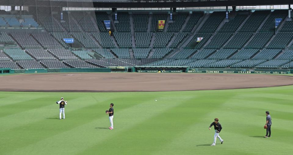 　キャッチボールをする（後方左から）村上、伊藤将、西勇（撮影・中田匡峻）