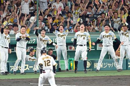 　８回、坂本（１２）の先制打に沸き上がる阪神ベンチ（撮影・立川洋一郎）