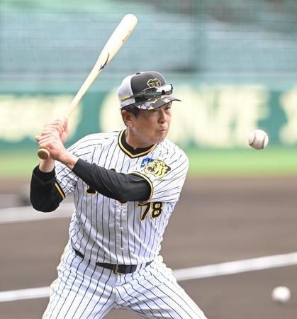 　試合前、ノッカーを務める平田コーチ（撮影・高部洋祐）