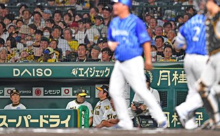 　６回、牧（右端２）に勝ち越し３ランを浴び、ベンチでうつむく岡田監督（左から２人目）＝撮影・中田匡峻