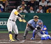 　６回、左前へ適時打を放つ佐藤輝（撮影・立川洋一郎）