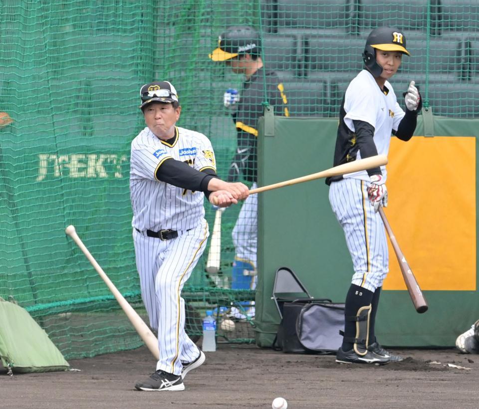 　ノックをする平田ヘッドコーチ（撮影・立川洋一郎）