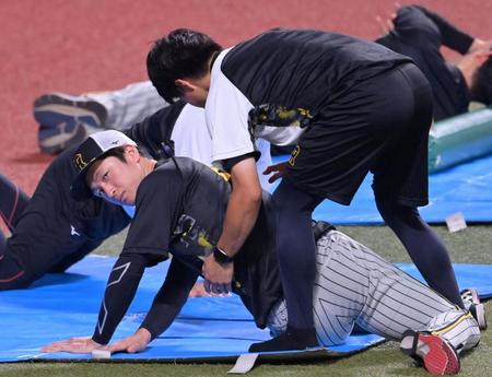 　トレーナーに体のチェックを受ける近本（撮影・立川洋一郎）