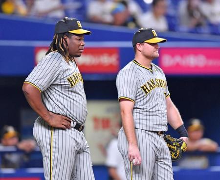 　外野でシートノックを受け終えたミエセス（左）とノイジーは内野手のノックを見守る（撮影・中田匡峻）