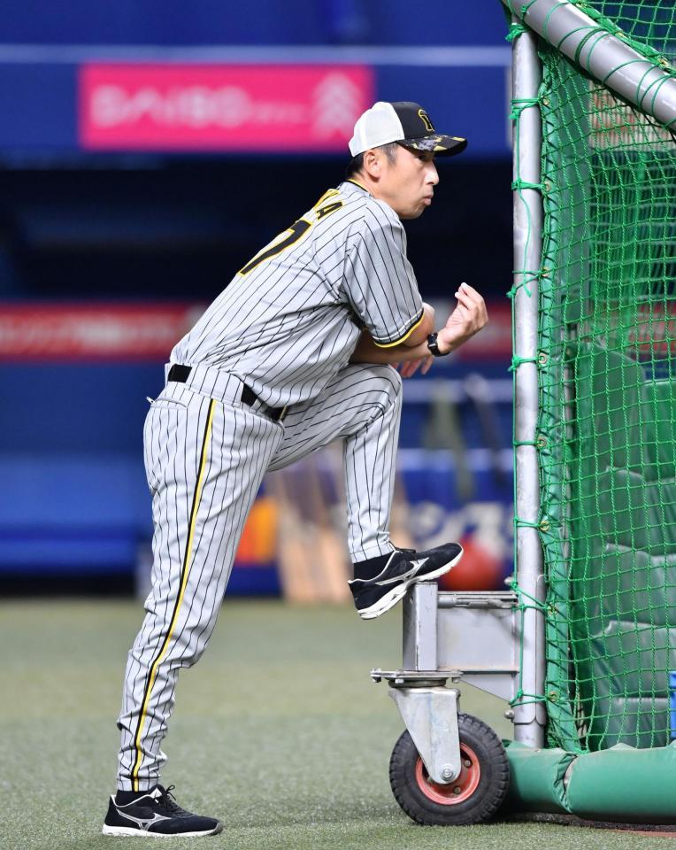 　練習を見守る今岡打撃コーチ（撮影・中田匡峻）