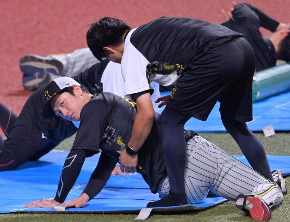 　トレーナーに体のチェックを受ける近本（撮影・立川洋一郎）