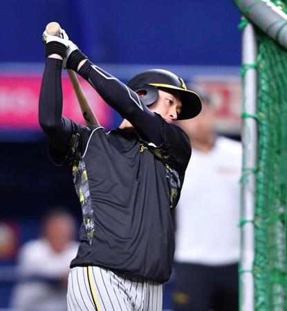 　素振りをする近本（撮影・中田匡峻）