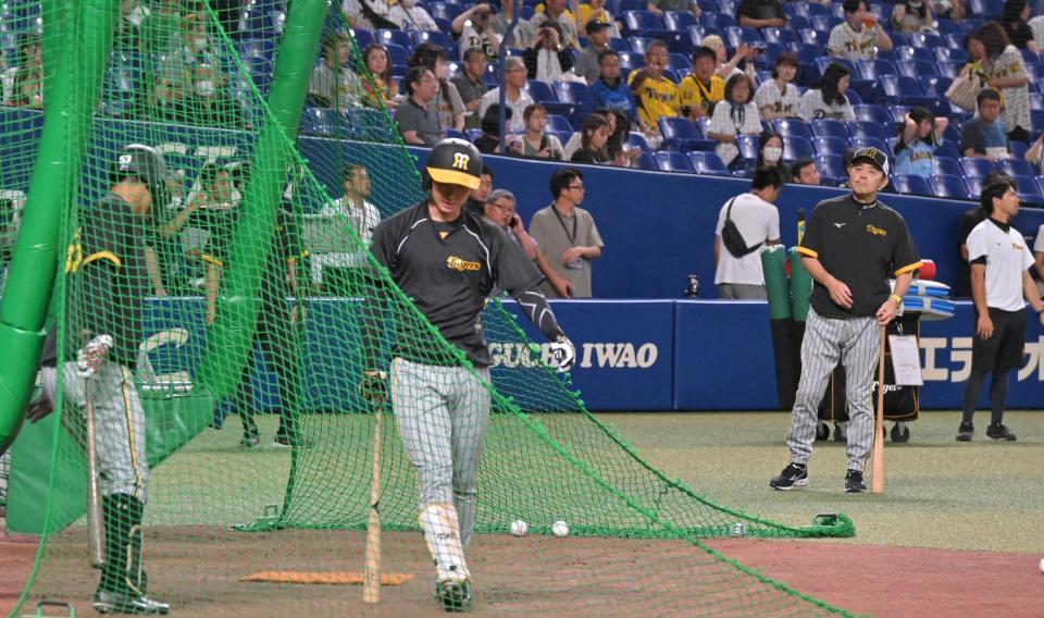 　近本（中央）の打撃練習を見守った岡田監督（後方右）＝撮影・中田匡峻