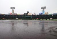 　雨でグラウンドに水が浮く甲子園（撮影・山口登）