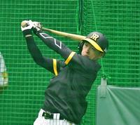 　打撃練習をする近本（撮影・中田匡峻）