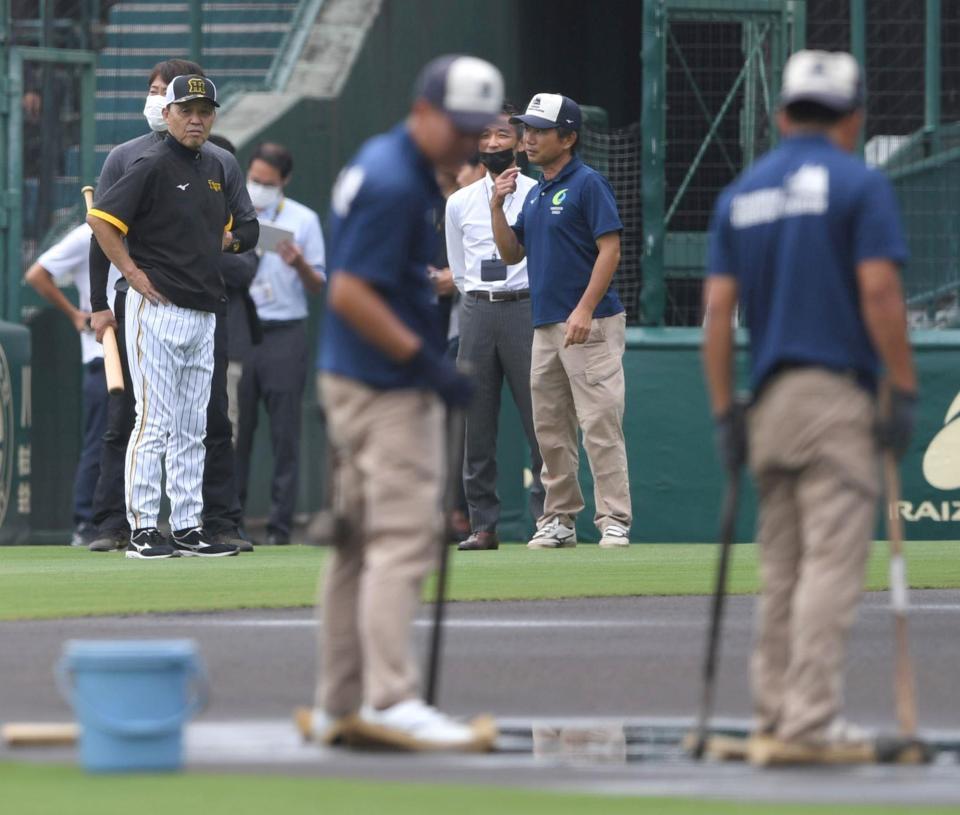 　グラウンドを整備する阪神園芸スタッフを見る岡田監督（左）＝撮影・北村雅宏