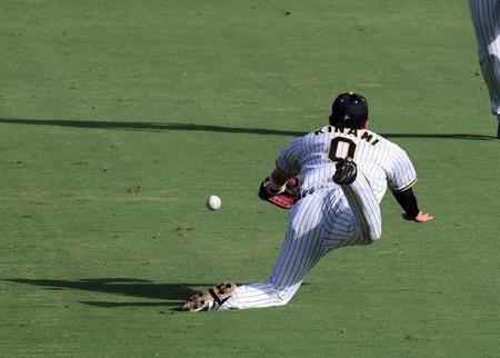 　７回、木浪は田中の飛球にダイブするも捕球できず（撮影・山口登）