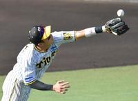 　７回、田中の打球を懸命に追う木浪（撮影・神子素慎一）