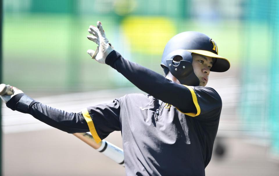 　打撃練習をする中野（撮影・中田匡峻）