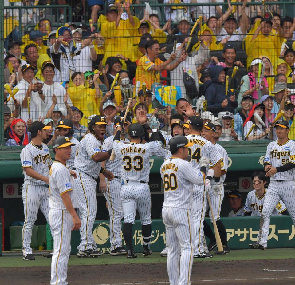 　８回、勝ち越しに沸く阪神ナイン（撮影・神子素慎一）