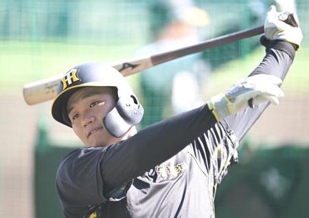 　試合前、打撃練習に励む森下（撮影・高部洋祐）