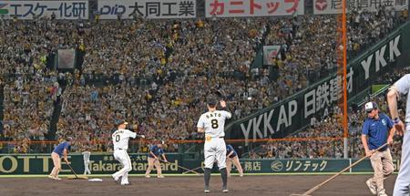 　３回に先制満塁弾を放った佐藤輝（８）は４回の守備でライトスタンドのファンの声援に応える（撮影・中田匡峻）