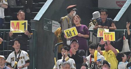 　マジック１を喜ぶ阪神ファン（撮影・高部洋祐）