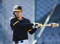 　打撃練習前、集中した表情を見せる佐藤輝（撮影・中田匡峻）