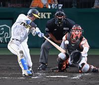 　３回、中前打を放つ近本（撮影・飯室逸平）