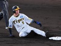 　３回、二盗を決める近本（撮影・飯室逸平）