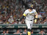 　３回、先制の満塁弾を放つ佐藤輝（撮影・高部洋祐）