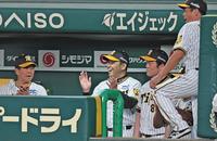 　試合に勝利し、手をたたく岡田監督（中央）＝撮影・中田匡峻