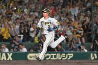 　６回、大山の先制犠飛で生還する近本（撮影・高部洋祐）