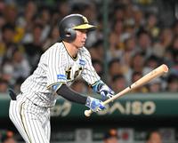 　６回、右前打を放つ近本（撮影・高部洋祐）