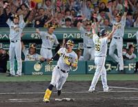 　６回、センターバックスクリーンへ２ランを放ち、ダイヤモンドを回る佐藤輝（撮影・立川洋一郎）