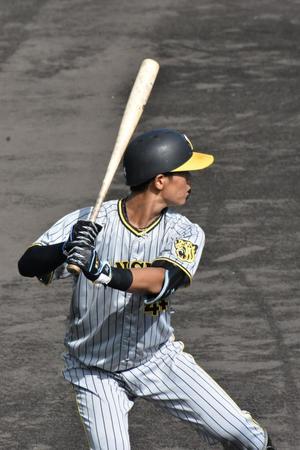 　この日適時打を放つ活躍を見せた戸井