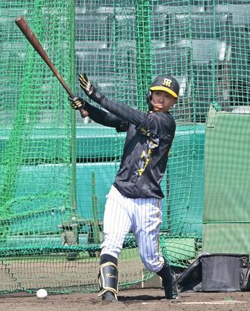 　フリー打撃をする島田（撮影・立川洋一郎）