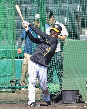 　フリー打撃をする小幡（撮影・立川洋一郎）