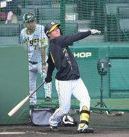 　打撃練習をする森下（撮影・中田匡峻）