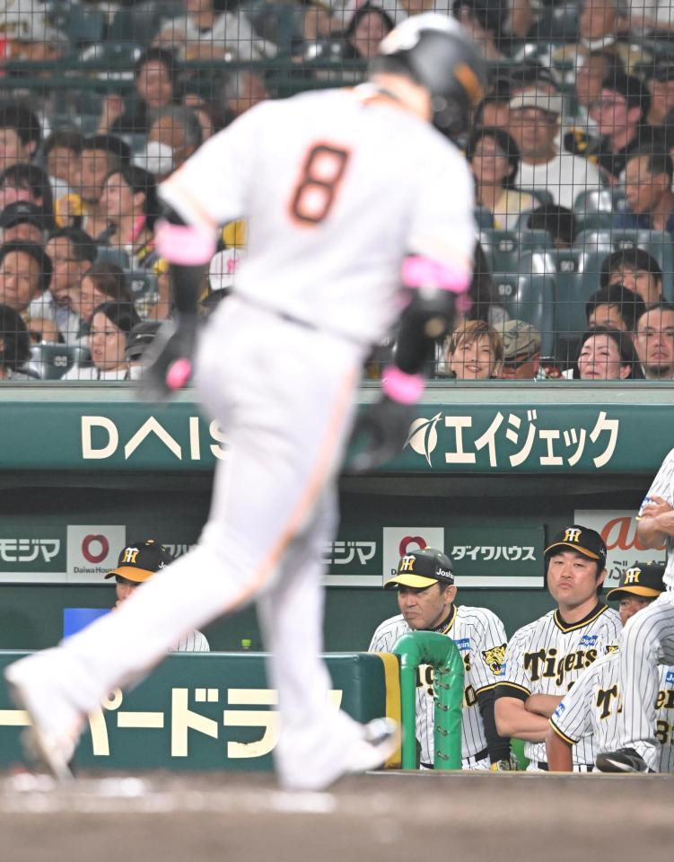 　７回、丸（手前）に同点ソロを許し、ベンチで厳しい表情を見せる岡田監督（撮影・高部洋祐）