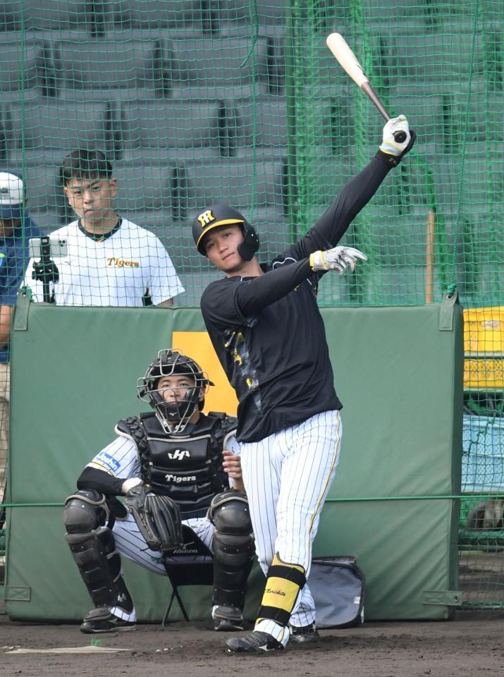 　打撃練習をする森下（撮影・中田匡峻）