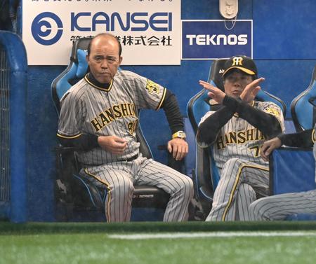 　ヤクルトベンチに中止を要求する？岡田監督、平田ヘッドコーチ（撮影・金田祐二）