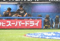 　雨の中、ベンチで談笑する阪神ナイン（撮影・金田祐二）