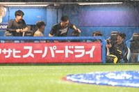 　雨の中、ベンチで談笑する阪神ナイン（撮影・金田祐二）