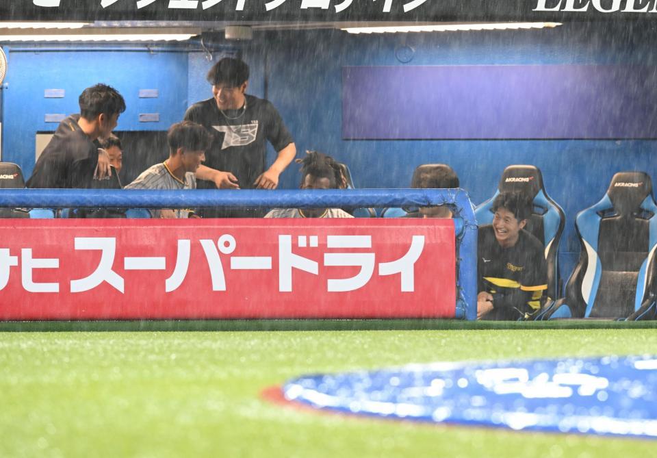 　雨の中、ベンチで談笑する阪神ナイン（撮影・金田祐二）