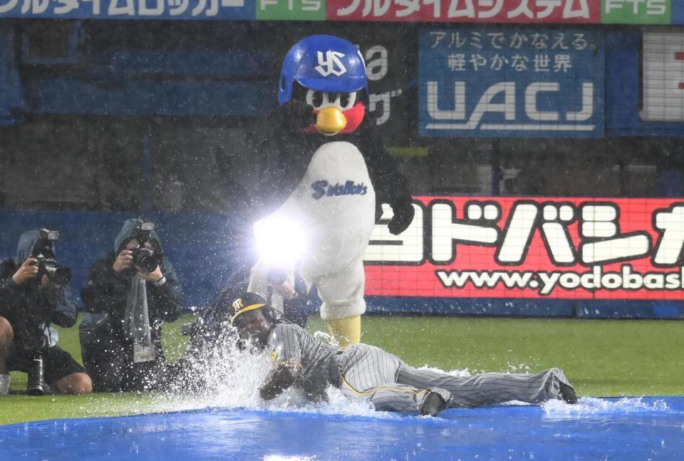 　雨天中止決定後にパフォーマンスでヘッドスライディングを見せるミエセス（撮影・堀内翔）